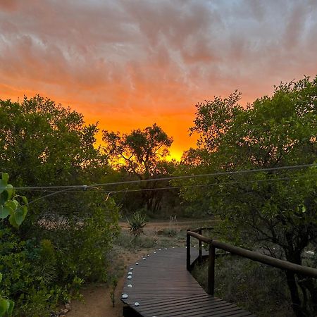 Out In Africa Wildlife Lodge Hammanskraal Esterno foto