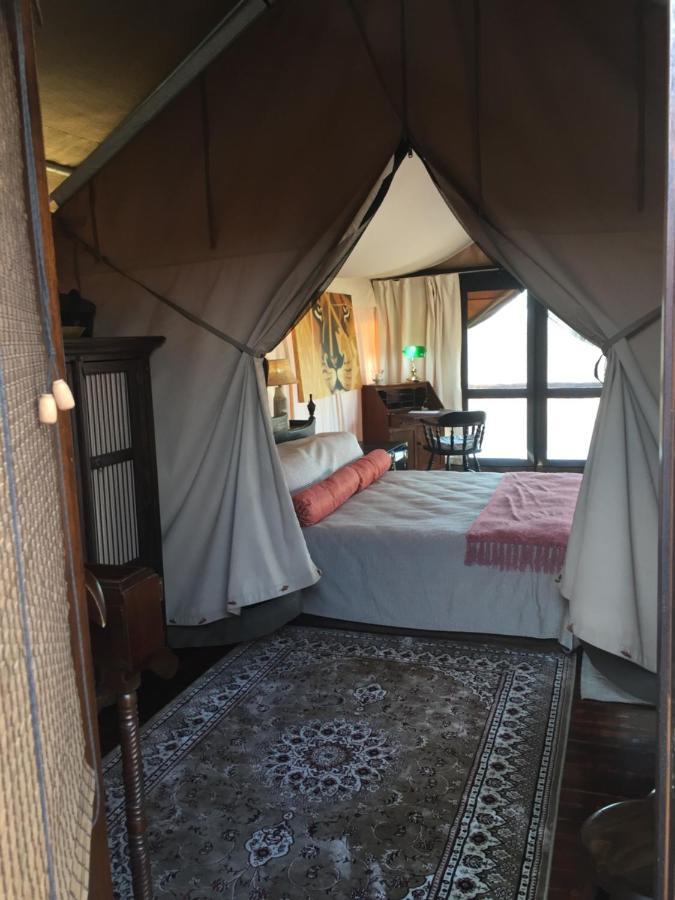 Out In Africa Wildlife Lodge Hammanskraal Esterno foto