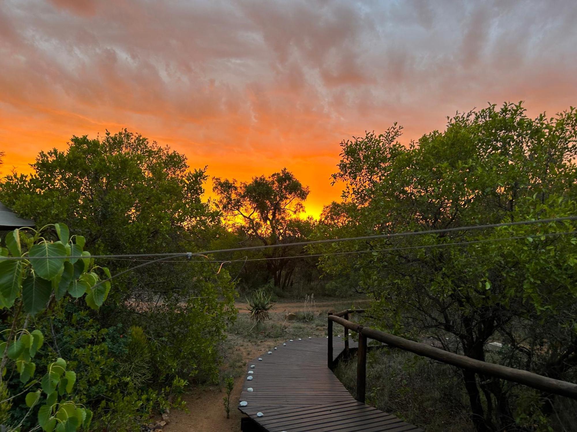 Out In Africa Wildlife Lodge Hammanskraal Esterno foto