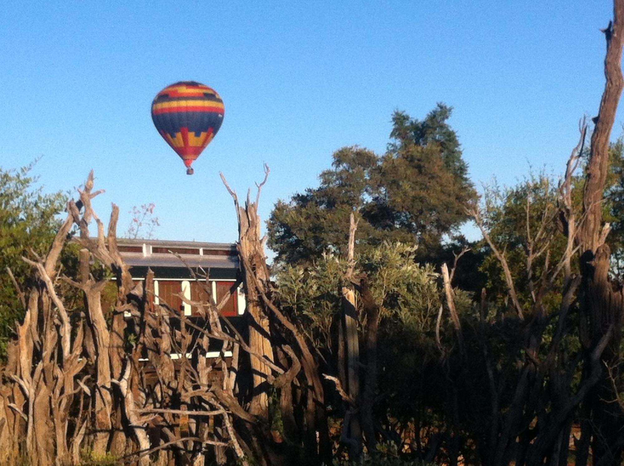 Out In Africa Wildlife Lodge Hammanskraal Esterno foto